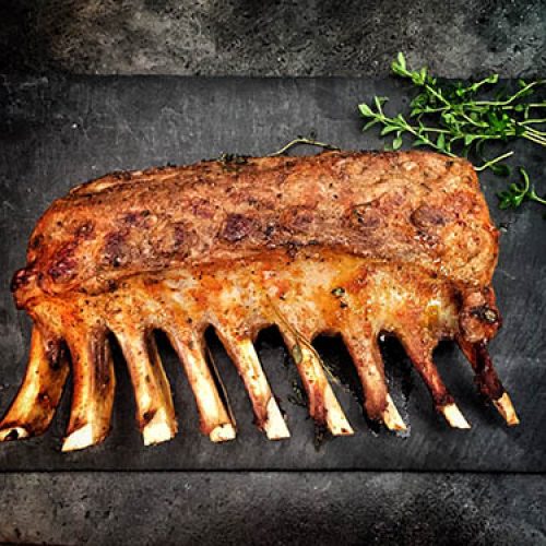 carnivore about small carnivore about small