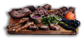 small carnivore background small carnivore background